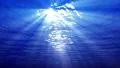 Underwater 60 seconds LM14 Loop Sunlight 4k or 4k+ Resolution