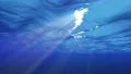 Underwater 60 seconds LM17 Loop Sunlight HD Footage