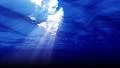 Underwater 60 seconds LM18 Loop Sunlight 4k or 4k+ Resolution