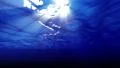 Underwater 60 seconds LM18 Loop Sunlight HD Footage