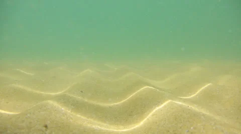 Underwater abstract background with refraction of the sun rays Stock Footage 39788026