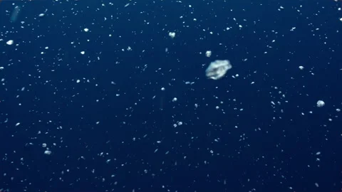 Underwater abstract shot of shimmering bubbles in open blue water Stock Footage 342600159