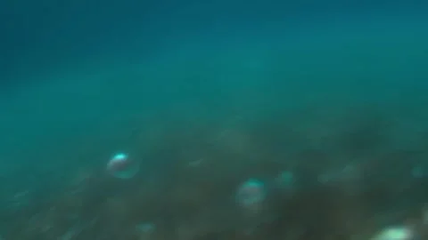Underwater Activity Stock Footage 271556992