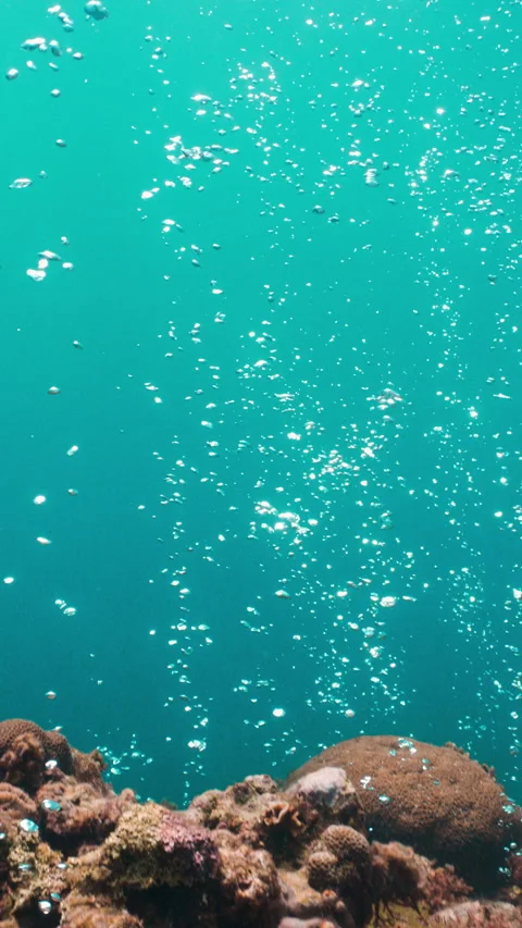 Underwater air bubbles rising from deep water up to the surface in tropical sea Stock Footage 284003402
