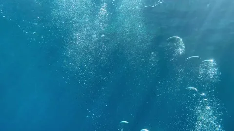 Underwater Air Bubbles Rising to Surface During Scuba Dive in 4K Stock Footage 324510596