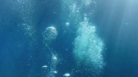 Underwater Air Bubbles Rising to Surface During Scuba Dive in 4K Stock Footage 324510628