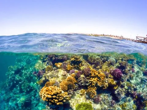 Underwater and surface split view in the tropics sea Underwater and surfac... Stock Photos