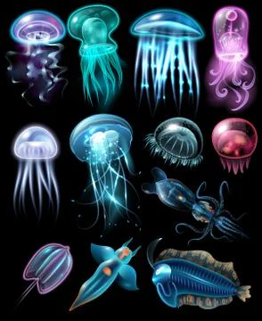 Underwater Animals Icon Set Stock Illustration