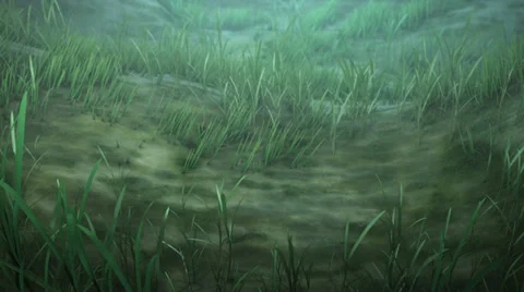 Underwater animation Stock Footage 28682935