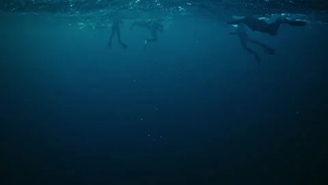 Underwater Arctic Ocean with Bubbles Rising Toward Surface Stock Footage 334334967