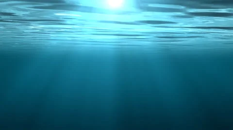 Phim nền dưới nước: Khám phá vẻ đẹp tuyệt vời của đại dương với phim nền dưới nước tuyệt đẹp của chúng tôi! Nắm bắt khoảnh khắc đáng nhớ của các sinh vật biển và hòa mình vào môi trường sống của chúng. Nhấp chuột vào hình ảnh ngay bây giờ để xem phim nền dưới nước của chúng tôi và lấp đầy trái tim của bạn!
