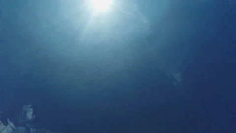 Underwater background with blinking sun rays in blue water Stock Footage 120021930