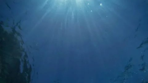 Underwater background. Blue surface, ray of light, waves from underwater Video stock 40302466