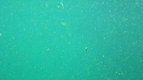 Underwater Background Stock Footage 40419248