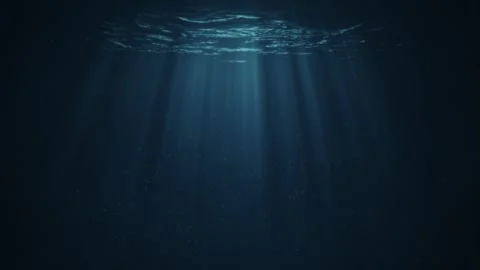 Underwater Background Stock Footage 313116680