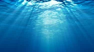 Underwater  Background Hd Stock Footage