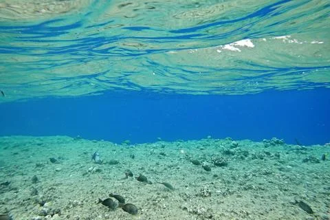 Underwater background Stock Photos