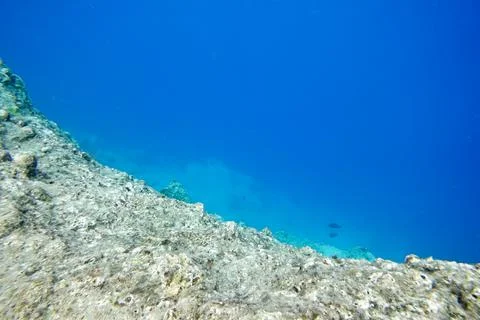 Underwater background Stock Photos