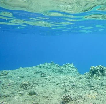 Underwater background Stock Photos