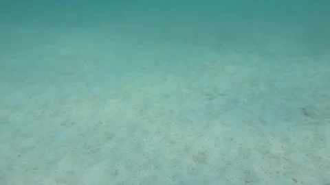 Underwater background with sandy sea bottom ang light reflection Stock Footage 283276334