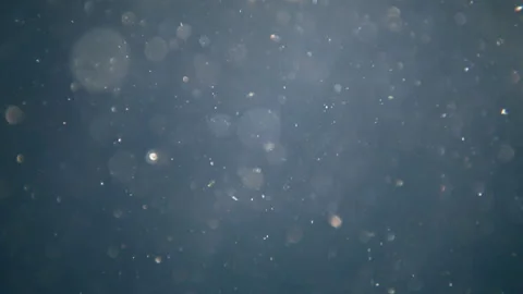 Underwater background with sun rays and bokeh particles Vídeos de archivo 151867634