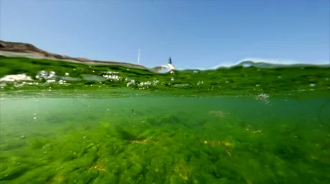 Underwater beach wave slow motion Video stock 54715053