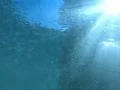 Underwater Bikini Girl HS02 Slow Motion 240fps Ocean Waves Footage