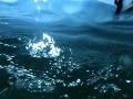 Underwater Bikini Girl HS18 Slow Motion 240fps Ocean Waves Footage