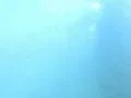 Underwater Bikini Girl HS26 Slow Motion 240fps Ocean Waves Footage