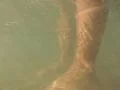 Underwater Bikini Girl HS29 Slow Motion 240fps Legs in Ocean Footage