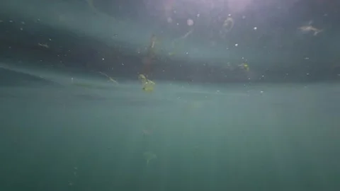 Underwater blue Stock Footage 308171741