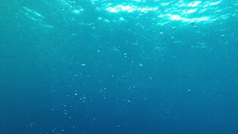 Underwater blue ocean Stock Footage 81620140