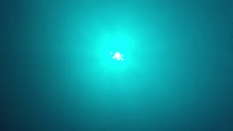 Underwater blue ocean 스톡 동영상 81950032