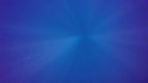 Underwater blue ocean Video stock 85710959