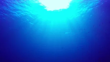 Underwater blue ocean Vídeo Stock 86000106