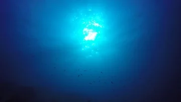 Underwater blue ocean 動画素材 86002865