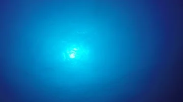 Underwater blue ocean Stock Footage 86014714