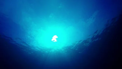 Underwater blue ocean 動画素材 86374338