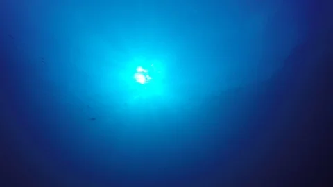Underwater blue ocean 動画素材 86375020