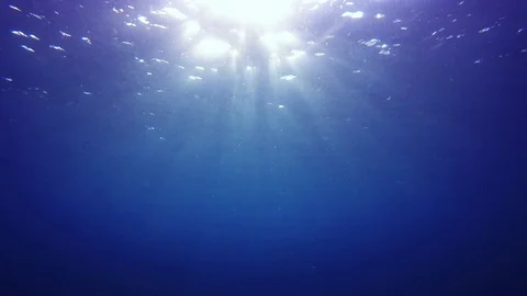 Underwater blue ocean Vidéo 86404459