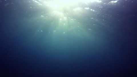 Underwater blue ocean Vídeo Stock 86405386
