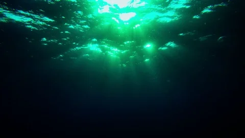 Underwater blue ocean Vidéo 86981455