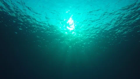Underwater blue ocean Video stock 87207424