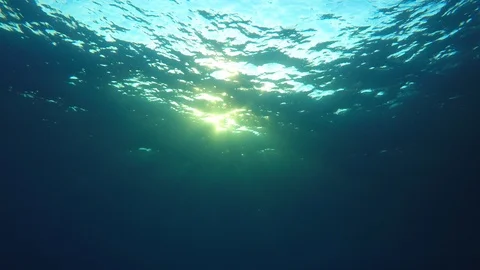 Underwater blue ocean 動画素材 87536693