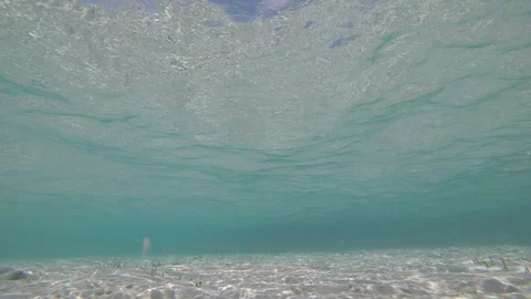 Underwater blue ocean Stock Footage 89705463