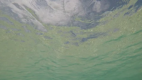 Underwater blue ocean Vidéo 89705475