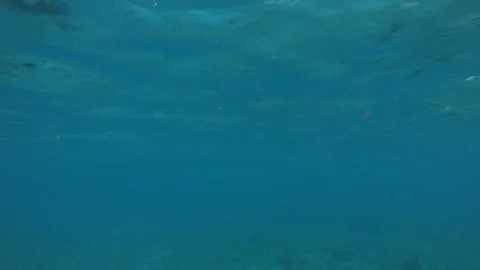 Underwater blue ocean Stock Footage 89857218