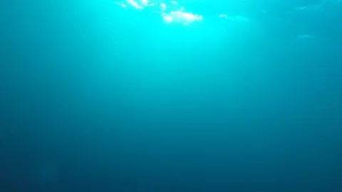 Underwater blue ocean Video stock 100394796