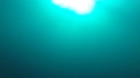 Underwater blue ocean Stock-Footage 100394833