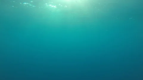 Underwater blue ocean Video stock 102704908